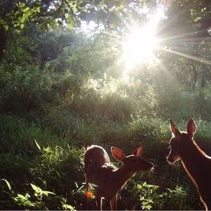 Meet your Posher, Madelyn